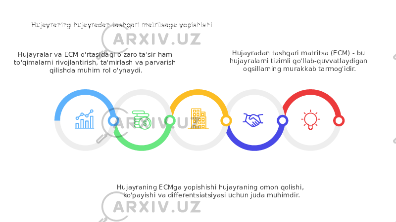 Hujayradan tashqari matritsa (ECM) - bu hujayralarni tizimli qo&#39;llab-quvvatlaydigan oqsillarning murakkab tarmog&#39;idir.Hujayraning hujayradan tashqari matritsaga yopishishi Hujayraning ECMga yopishishi hujayraning omon qolishi, ko&#39;payishi va differentsiatsiyasi uchun juda muhimdir.Hujayralar va ECM o&#39;rtasidagi o&#39;zaro ta&#39;sir ham to&#39;qimalarni rivojlantirish, ta&#39;mirlash va parvarish qilishda muhim rol o&#39;ynaydi. 