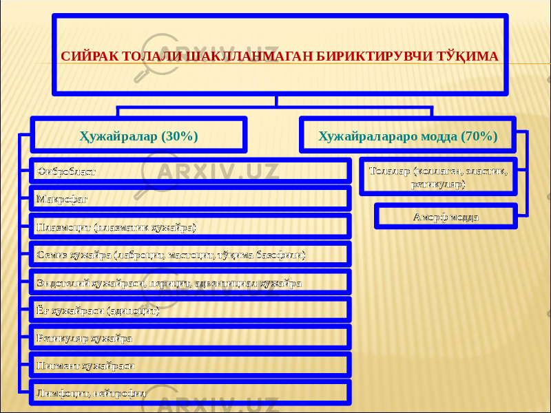 СИЙРАК ТОЛАЛИ ШАКЛЛАНМАГАН БИРИКТИРУВЧИ ТЎҚИМА Ҳужайралар (30%) Хужайралараро модда (70%) Фибробласт Макрофаг Плазмоцит (плазматик ҳужайра) Семиз ҳужайра (лаброцит, мастоцит, тўқима базофили) Эндотелий ҳужайраси, перицит, адвентициал ҳужайра Ёғ ҳужайраси (адипоцит) Ретикуляр ҳужайра Пигмент ҳужайраси Лимфоцит, нейтрофил Толалар (коллаген, эластик, ретикуляр) Аморф модда 