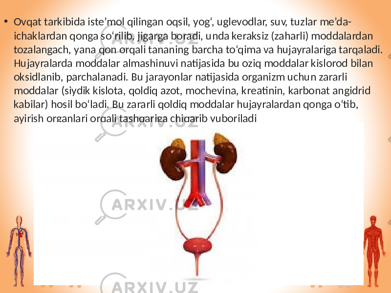 • Ovqat tarkibida iste’mol qilingan oqsil, yog‘, uglevodlar, suv, tuzlar me’da- ichaklardan qonga so‘rilib, jigarga boradi, unda keraksiz (zaharli) moddalardan tozalangach, yana qon orqali tananing barcha to‘qima va hujayralariga tarqaladi. Hujayralarda moddalar almashinuvi natijasida bu oziq moddalar kislorod bilan oksidlanib, parchalanadi. Bu jarayonlar natijasida organizm uchun zararli moddalar (siydik kislota, qoldiq azot, mochevina, kreatinin, karbonat angidrid kabilar) hosil bo‘ladi. Bu zararli qoldiq moddalar hujayralardan qonga o‘tib, ayirish organlari orqali tashqariga chiqarib yuboriladi 