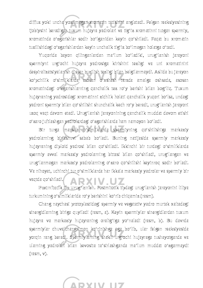 diffuz yoki uncha yozilmagan xromatin tutishini anglatadi. Felgen reaksiyasining ijobiysini beradigan tuxum hujayra yadrolari va tig‘iz xromatinni tutgan spermiy, xromatinda o‘zgarishlar sodir bo‘lganidan keyin qo‘shiladi. Faqat bu xromatin tuzilishidagi o‘zgarishlardan keyin unchalik tig‘iz bo‘lmagan holatga o‘tadi. Yuqorida bayon qilinganlardan ma’lum bo‘ladiki, urug‘lanish jarayoni spermiyni urg‘ochi hujayra yadrosiga kirishini tezligi va uni xromatinini despiralizatsiyalanish disper buzilish tezligi bilan belgilanmaydi. Aslida bu jarayon ko‘pchilik o‘simliklarda asosan o‘xshash tarzda amalga oshsada, asosan xromatindagi o‘zgarishlarning qanchalik tez ro‘y berishi bilan bog‘liq. Tuxum hujayraning yadrosidagi xromatinni zichlik holati qanchalik yuqori bo‘lsa, undagi yadroni spermiy bilan qo‘shilishi shunchalik kech ro‘y beradi, urug‘lanish jarayoni uzoq vaqt davom etadi. Urug‘lanish jarayonining qanchalik muddat davom etishi o‘zaro juftlashgan yadrolardagi o‘zgarishlarda ham namoyon bo‘ladi. Bir turga mansub o‘simliklarda spermiyning qo‘shilishiga markaziy yadrolarning birlashuvi sabab bo‘ladi. Buning natijasida spermiy markaziy hujayraning diploid yadrosi bilan qo‘shiladi. Ikkinchi bir turdagi o‘simliklarda spermiy avval markaziy yadrolarning bittasi bilan qo‘shiladi, urug‘langan va urug‘lanmagan markaziy yadrolarning o‘zaro qo‘shilishi keyinroq sodir bo‘ladi. Va nihoyat, uchinchi tur o‘simliklarda har ikkala markaziy yadrolar va spermiy bir vaqtda qo‘shiladi. Postmitotik tip urug‘lanish . Postmitotik tipdagi urug‘lanish jarayonini liliya turkumining o‘simliklarida ro‘y berishini ko‘rib chiqamiz (rasm). Chang naychasi protoplastidagi spermiy va vegetativ yadro murtak xaltadagi sinergidlarning biriga quyiladi (rasm, a). Keyin spermiylar sinergidlardan tuxum hujayra va markaziy hujayraning oralig‘iga yo‘naladi (rasm, b). Bu davrda spermiylar chuvalchangsimon ko‘rinishga ega bo‘lib, ular felgen reaksiyasida yorqin rang beradi. Spermiylarning shakli urg‘ochi hujayraga tushayotganda va ularning yadrolari bilan bevosita ta’sirlashganda ma’lum muddat o‘zgarmaydi (rasm, v). 