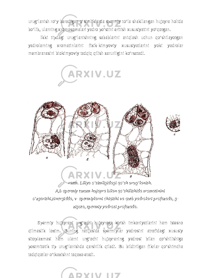 urug‘lanish ro‘y beradigan o‘simliklarda spermiy to‘la shakllangan hujayra holida bo‘lib, ularning xromosomalari yadro po‘stini eritish xususiyatini yo‘qotgan. Ikki tipdagi urug‘lanishning sabablarini aniqlash uchun qo‘shilayotgan yadrolarning xromatinlarini fizik-kimyoviy xususiyatlarini yoki yadrolar membranasini biokimyoviy tadqiq qilish zarurligini ko‘rsatadi. rasm. Liliya o‘simligidagi qo‘sh urug‘lanish. A,b-spermiy tuxum hujayra bilan qo‘shilishida xromatinini o‘zgarishi,sinergidda, v- spermiylarni chiqishi va qutb yadrolari profazada, g- zigota, spermiy yadrosi profazada. Spermiy hujayrani urg‘ochi hujayraga kirish imkoniyatlarini ham istesno qilmaslik lozim. Buning natijasida spermiylar yadrosini atrofidagi xususiy sitoplazmasi ham ularni urg‘ochi hujayraning yadrosi bilan qo‘shilishiga postmitotik tip urug‘lanishda qarshilik qiladi. Bu bildirilgan fikrlar qo‘shimcha tadqiqotlar o‘tkazishni taqazo etadi. 