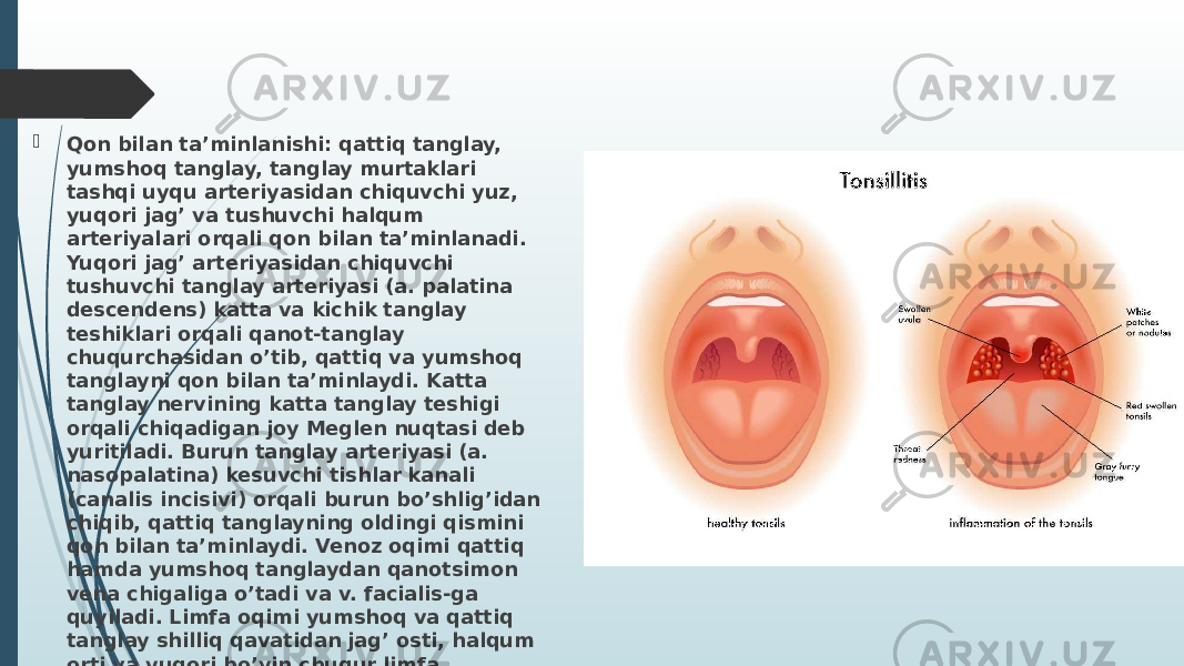  Qon bilan ta’minlanishi: qattiq tanglay, yumshoq tanglay, tanglay murtaklari tashqi uyqu arteriyasidan chiquvchi yuz, yuqori jag’ va tushuvchi halqum arteriyalari orqali qon bilan ta’minlanadi. Yuqori jag’ arteriyasidan chiquvchi tushuvchi tanglay arteriyasi (a. palatina descendens) katta va kichik tanglay teshiklari orqali qanot-tanglay chuqurchasidan o’tib, qattiq va yumshoq tanglayni qon bilan ta’minlaydi. Katta tanglay nervining katta tanglay teshigi orqali chiqadigan joy Meglen nuqtasi deb yuritiladi. Burun tanglay arteriyasi (a. nasopalatina) kesuvchi tishlar kanali (canalis incisivi) orqali burun bo’shlig’idan chiqib, qattiq tanglayning oldingi qismini qon bilan ta’minlaydi. Venoz oqimi qattiq hamda yumshoq tanglaydan qanotsimon vena chigaliga o’tadi va v. facialis-ga quyiladi. Limfa oqimi yumshoq va qattiq tanglay shilliq qavatidan jag’ osti, halqum orti va yuqori bo’yin chuqur limfa tugunlariga boradi. 