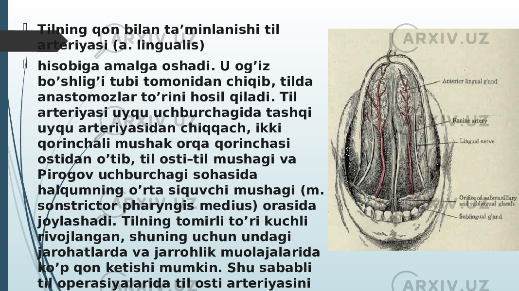  Tilning qon bilan ta’minlanishi til arteriyasi (a. lingualis)  hisobiga amalga oshadi. U og’iz bo’shlig’i tubi tomonidan chiqib, tilda anastomozlar to’rini hosil qiladi. Til arteriyasi uyqu uchburchagida tashqi uyqu arteriyasidan chiqqach, ikki qorinchali mushak orqa qorinchasi ostidan o’tib, til osti–til mushagi va Pirogov uchburchagi sohasida halqumning o’rta siquvchi mushagi (m. sonstrictor pharyngis medius) orasida joylashadi. Tilning tomirli to’ri kuchli rivojlangan, shuning uchun undagi jarohatlarda va jarrohlik muolajalarida ko’p qon ketishi mumkin. Shu sababli til operasiyalarida til osti arteriyasini bo’yindagi Pirogov uchburchagi sohasida bog’lab qo’yiladi. 