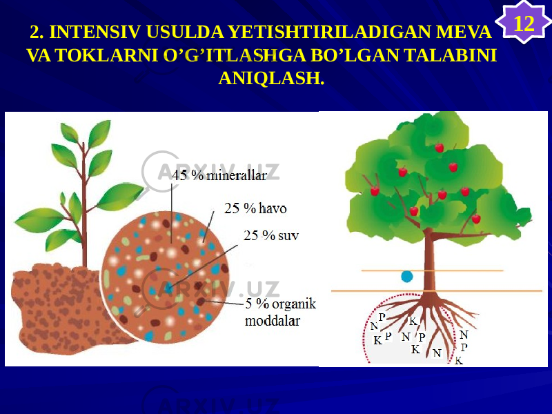 2. INTENSIV USULDA YETISHTIRILADIGAN MEVA VA TOKLARNI O’G’ITLASHGA BO’LGAN TALABINI ANIQLASH. 123435 