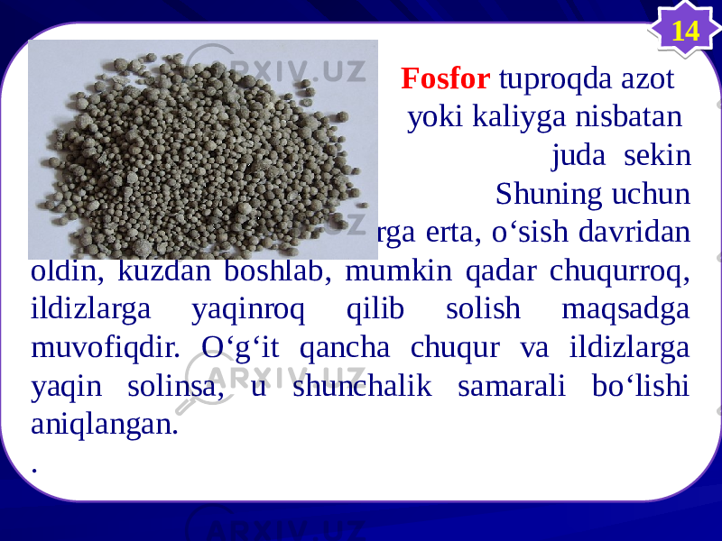  Fosfor tuproqda azot yoki kaliyga nisbatan juda sekin singadi. Shuning uchun uni yerga erta, о‘sish davridan oldin, kuzdan boshlab, mumkin qadar chuqurroq, ildizlarga yaqinroq qilib solish maqsadga muvofiqdir. О‘g‘it qancha chuqur va ildizlarga yaqin solinsa, u shunchalik samarali bо‘lishi aniqlangan. . 14343B 