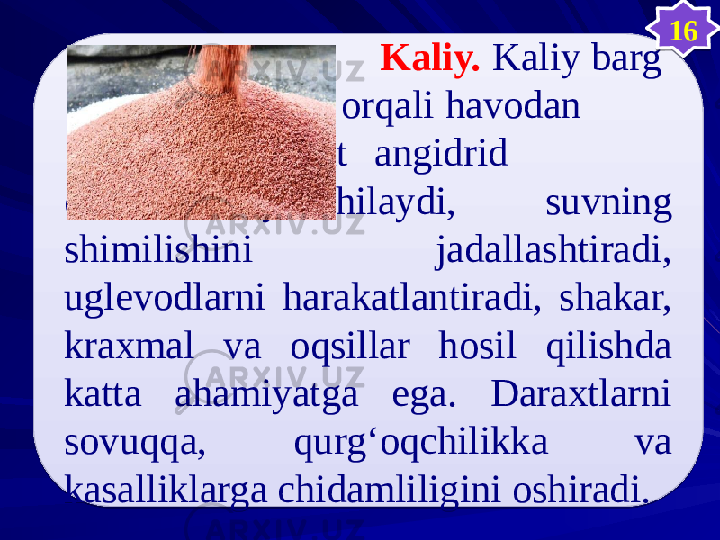  Kaliy. Kaliy barg orqali havodan karbonat angidrid olishni yaxshilaydi, suvning shimilishini jadallashtiradi, uglevodlarni harakatlantiradi, shakar, kraxmal va oqsillar hosil qilishda katta ahamiyatga ega. Daraxtlarni sovuqqa, qurg‘oqchilikka va kasalliklarga chidamliligini oshiradi. 1605 08 3D23 08 57 05 05 1E0E 0B16 1F0A15 0C1B16 1E0F 1E0E 1F0B100C 1E0E 343E 