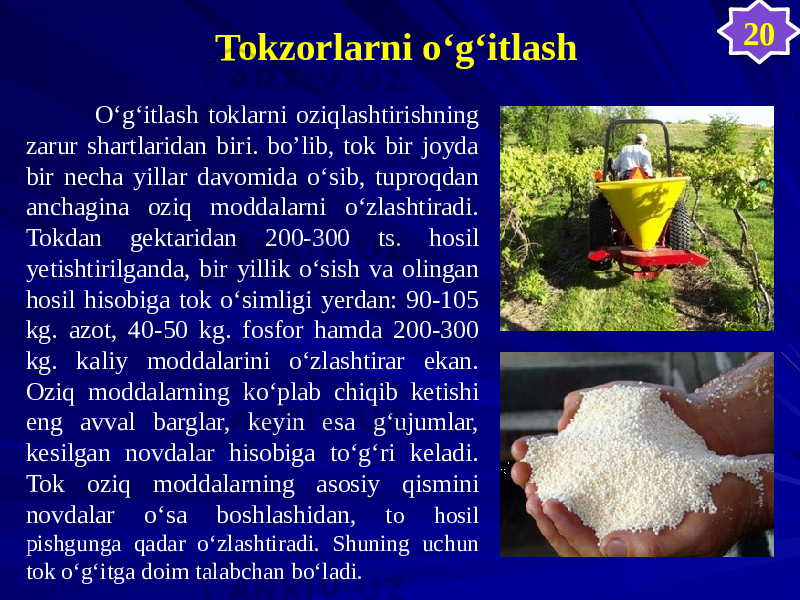 Tokzorlarni о‘g‘itlash О‘g‘itlash toklarni oziqlashtirishning zarur shartlaridan biri. bo’lib, tok bir joyda bir necha yillar davomida о‘sib, tuproqdan anchagina oziq moddalarni о‘zlashtiradi. Tokdan gektaridan 200-300 ts. hosil yetishtirilganda, bir yillik о‘sish va olingan hosil hisobiga tok о‘simligi yerdan: 90-105 kg. azot, 40-50 kg. fosfor hamda 200-300 kg. kaliy moddalarini о‘zlashtirar ekan. Oziq moddalarning kо‘plab chiqib ketishi eng avval barglar, keyin esa g‘ujumlar, kesilgan novdalar hisobiga tо‘g‘ri keladi. Tok oziq moddalarning asosiy qismini novdalar о‘sa boshlashidan, t o hosil pishgunga qadar о‘zlashtiradi. Shuning uchun tok о‘g‘itga doim talabchan bо‘ladi. 203542 