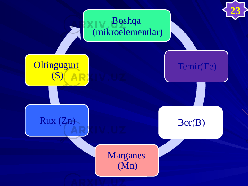 Boshqa (mikroelementlar) Temir(Ғе) Bor(В) Marganes (Мn)Rux (Zn)Oltingugurt (S) 23353A 