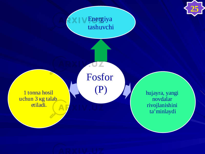 Fosfor (P)Energiya tashuvchi hujayra, yangi novdalar rivojlanishini ta’minlaydi1 tonna hosil uchun 3 кg talab etiladi. 25353C 