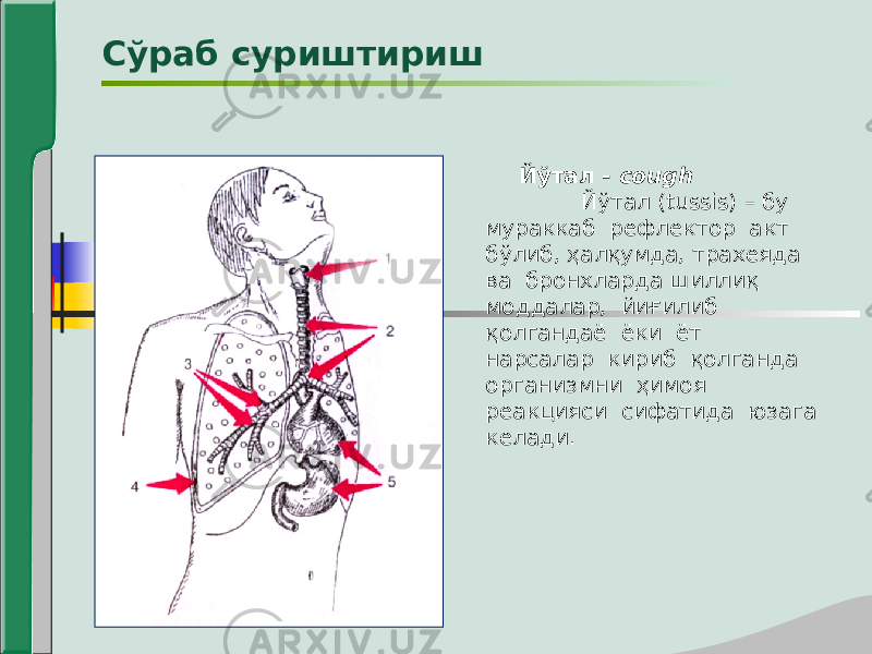  Йўтал - cough Йўтал (tussis) – бу мураккаб рефлектор акт бўлиб, ҳалқумда, трахеяда ва бронхларда шиллиқ моддалар, йиғилиб қолгандаё ёки ёт нарсалар кириб қолганда организмни ҳимоя реакцияси сифатида юзага келади.Сўраб суриштириш 