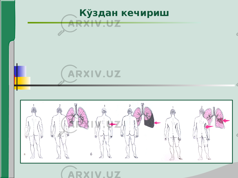 Кўздан кечириш 