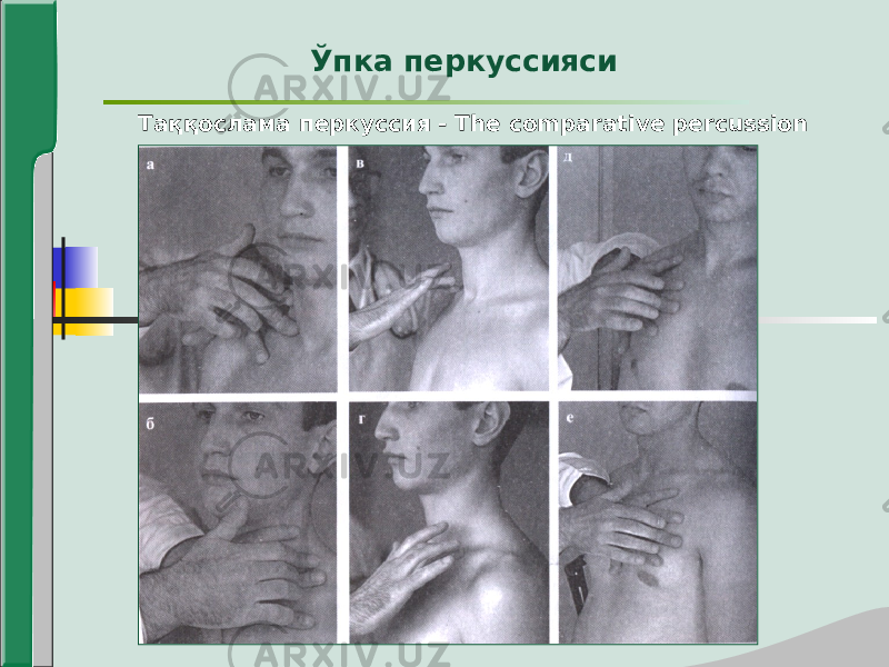 Таққослама перкуссия - The comparative percussion Ўпка перкуссияси 