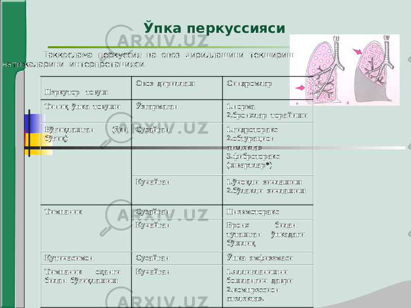 Ўпка перкуссияси Таққослама перкуссия ва овоз дириллашини текшириш натижаларини интерпретацияси. Перкутор товуш Овоз дириллаш Синдромлар Тиниқ ўпка товуши Ўзгармаган 1.норма 2.бронхлар торайиши Бўғиқлашган (ёки бўғиқ) Сусайган 1.гидроторакс 2.обтурацион ателектаз 3.фиброторакс (швартлар*) Кучайган 1.ўчоқли зичлашиш 2.бўлакли зичлашиш Тимпаник Сусайган Пневмоторакс Кучайган Бронх билан туташган ўпкадаги бўшлиқ Қутичасимон Сусайган Ўпка эмфиземаси Тимпаник оҳанги билан бўғиқлашиш Кучайган 1.яллиғланишни бошланғич даври 2.компрессион ателектаз. 