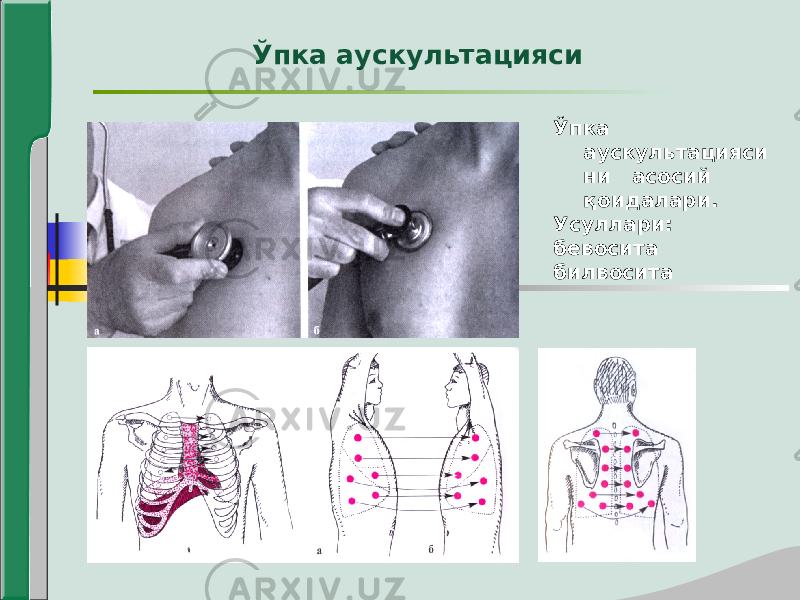 Ўпка аускультацияси ни асосий қоидалари. Усуллари: бевосита билвоситаЎпка аускультацияси 