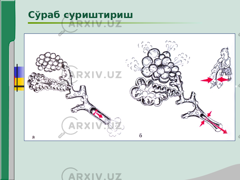 Сўраб суриштириш 