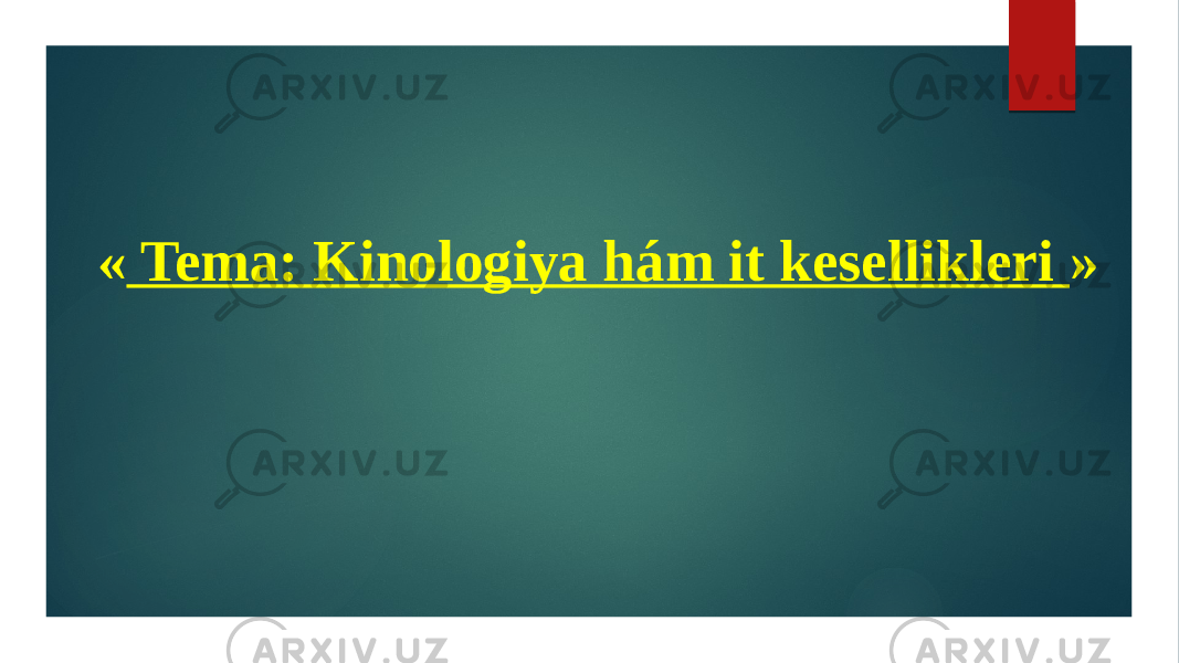  « Tema: Kinologiya hám it kesellikleri »     