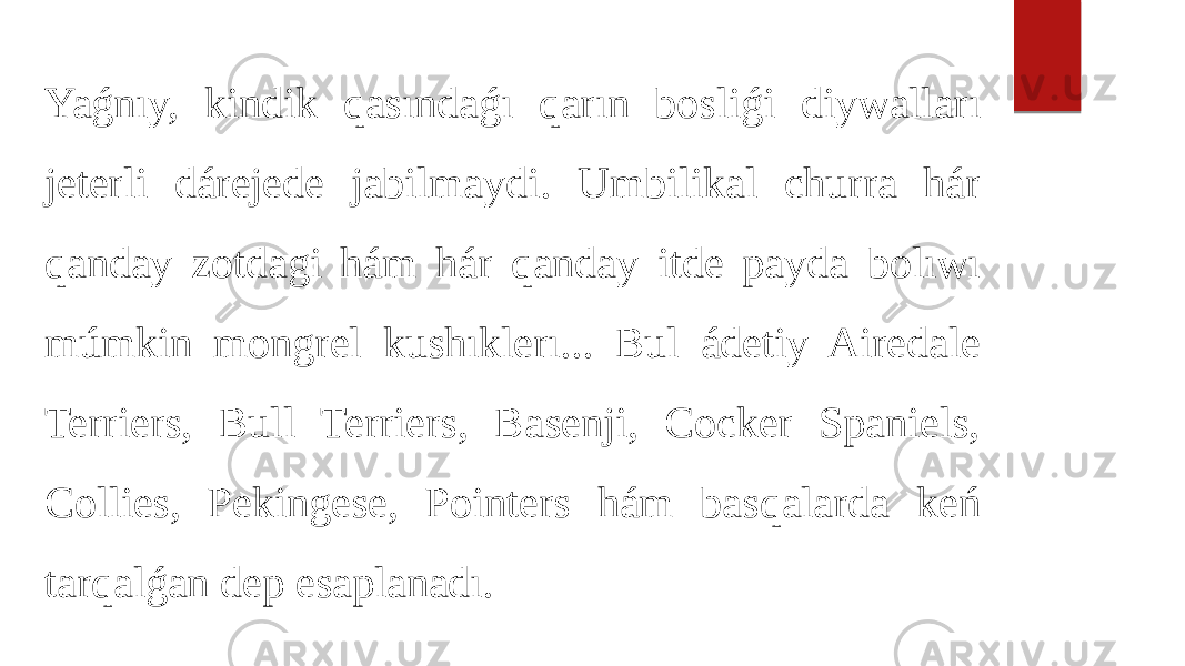 Yaǵnıy, kindik qasındaǵı qarın bosliǵi diywalları jeterli dárejede jabilmaydi. Umbilikal churra hár qanday zotdagi hám hár qanday itde payda bolıwı múmkin mongrel kushıklerı... Bul ádetiy Airedale Terriers, Bull Terriers, Basenji, Cocker Spaniels, Collies, Pekingese, Pointers hám basqalarda keń tarqalǵan dep esaplanadı. 