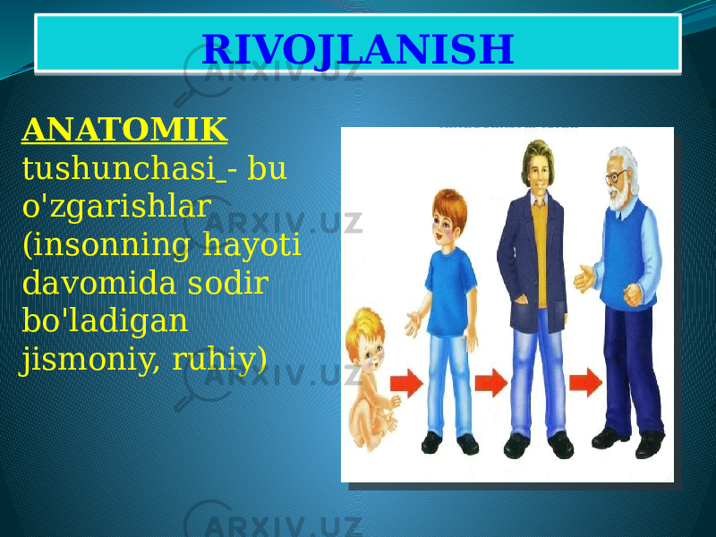 RIVOJLANISH ANATOMIK tushunchasi - bu o&#39;zgarishlar (insonning hayoti davomida sodir bo&#39;ladigan jismoniy, ruhiy)08 