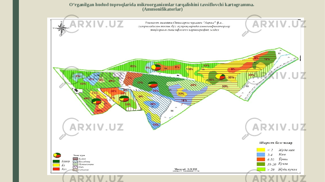 O‘rganilgan hudud tuproqlarida mikroorganizmlar tarqalishini tavsiflovchi kartogramma. (Аmmonifikatorlar) 