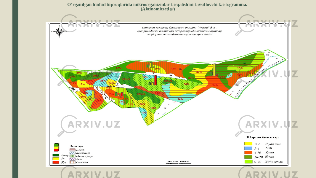 O‘rganilgan hudud tuproqlarida mikroorganizmlar tarqalishini tavsiflovchi kartogramma. (Аktinomitsetlar) 