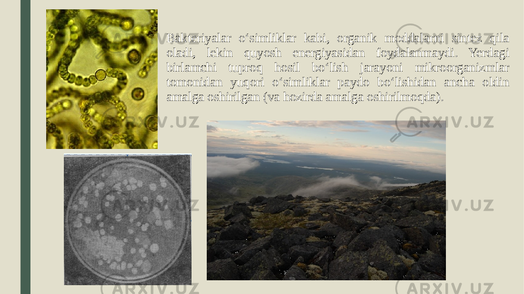 Bakteriyalar o ‘simliklar kabi, organik moddalarni sintez qila oladi, lekin quyosh energiyasidan foydalanmaydi. Yerdagi birlamchi tuproq hosil bo‘lish jarayoni mikroorganizmlar tomonidan yuqori o‘simliklar paydo bo‘lishidan ancha oldin amalga oshirilgan (va hozirda amalga oshirilmoqda). 