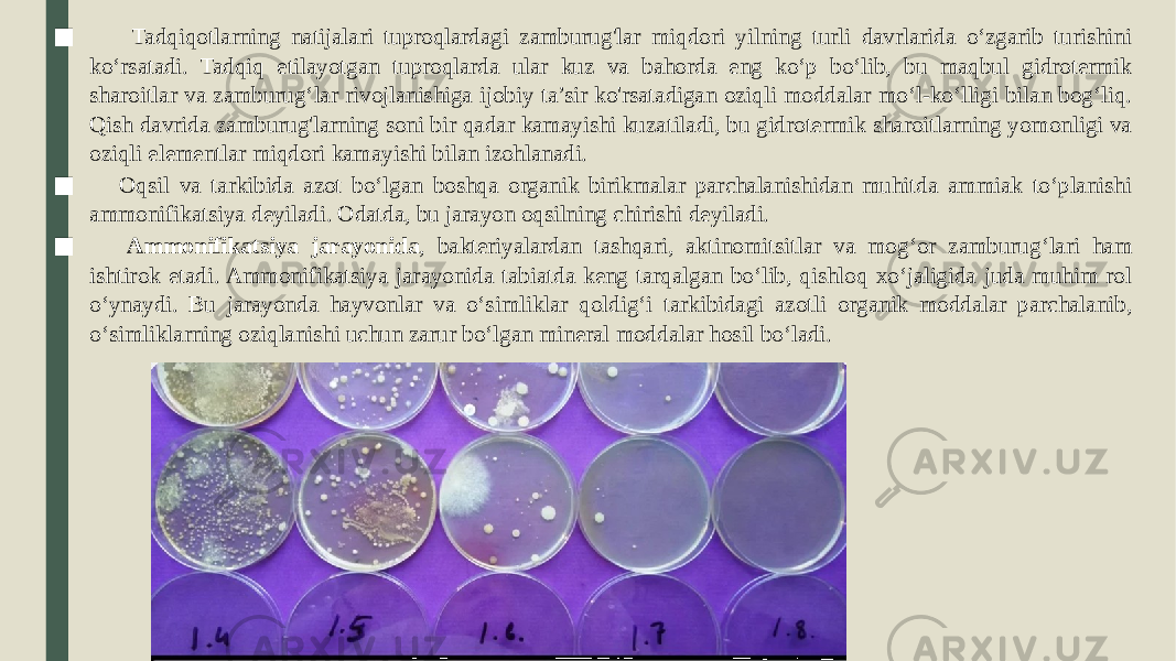 ■ Tadqiqotlarning natijalari tuproqlardagi zamburug&#39;lar miqdori yilning turli davrlarida o‘zgarib turishini ko‘rsatadi. Tadqiq etilayotgan tuproqlarda ular kuz va bahorda eng ko‘p bo‘lib, bu maqbul gidrotermik sharoitlar va zamburug‘lar rivojlanishiga ijobiy ta’sir ko&#39;rsatadigan oziqli moddalar mo‘l-ko‘lligi bilan bog‘liq. Qish davrida zamburug&#39;larning soni bir qadar kamayishi kuzatiladi, bu gidrotermik sharoitlarning yomonligi va oziqli elementlar miqdori kamayishi bilan izohlanadi. ■ Oqsil va tarkibida azot bo‘lgan boshqa organik birikmalar parchalanishidan muhitda ammiak to‘planishi ammonifikatsiya deyiladi. Odatda, bu jarayon oqsilning chirishi deyiladi. ■ Ammonifikatsiya jarayonida , bakteriyalardan tashqari, aktinomitsitlar va mog‘or zamburug‘lari ham ishtirok etadi. Ammonifikatsiya jarayonida tabiatda keng tarqalgan bo‘lib, qishloq xo‘jaligida juda muhim rol o‘ynaydi. Bu jarayonda hayvonlar va o‘simliklar qoldig‘i tarkibidagi azotli organik moddalar parchalanib, o‘simliklarning oziqlanishi uchun zarur bo‘lgan mineral moddalar hosil bo‘ladi. 