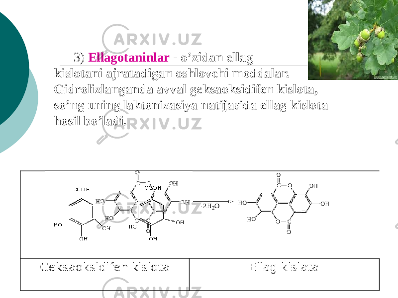 3) Ellagotaninlar - o’zidan ellag kislotani ajratadigan oshlovchi moddalar. Gidrolizlanganda avval geksaoksidifen kislota, so’ng uning laktonizasiya natijasida ellag kislota hosil bo’ladi. Geksaoksidifen kislota Ellag kislataO C C O OH HO HO OH O O O C C O OH HO HO OH O O -2H2O 