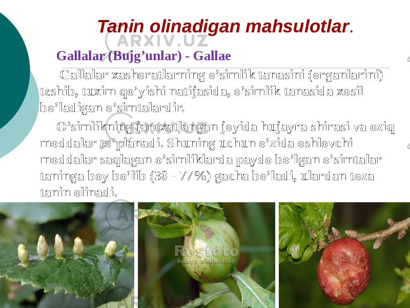 Tanin olinadigan mahsulotlar . Gallalar (Bujg’unlar) - Gallae   Gallalar xashoratlarning o’simlik tanasini (organlarini) tеshib, tuxim qo’yishi natijasida, o’simlik tanasida xosil bo’ladigan o’simtalardir. O’simlikning jaroxatlangan joyida hujayra shirasi va oziq moddalar to’planadi. Shuning uchun o’zida oshlovchi moddalar saqlagan o’simliklarda paydo bo’lgan o’simtalar taninga boy bo’lib (30 - 77%) gacha bo’ladi, ulardan toza tanin olinadi.   