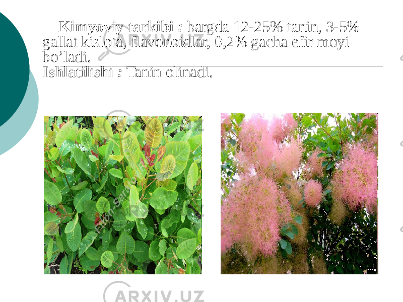 Kimyoviy tarkibi : bargda 12-25% tanin, 3-5% gallat kislota, flavonoidlar, 0,2% gacha efir moyi bo’ladi. Ishlatilishi : Tanin olinadi. 