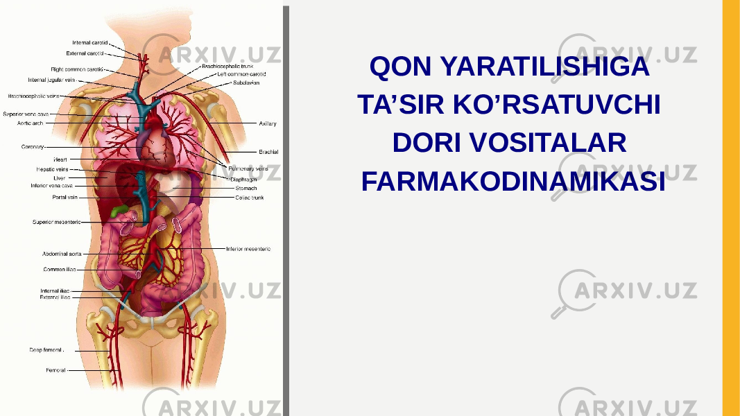 QON YARATILISHIGA TA’SIR KO’RSATUVCHI DORI VOSITALAR FARMAKODINAMIKASI 