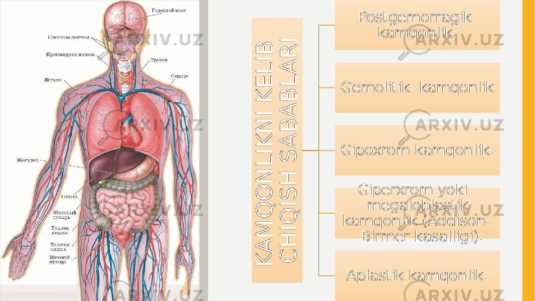 K A M Q O N L I K N I K Е L I B C H I Q I S H S A B A B L A R IPostgеmorragik kamqonlik. Gеmolitik  kamqonlik Gipoxrom kamqonlik. Gipеrxrom yoki mеgaloblastik kamqonlik (Addison- Birmеr kasalligi). Aplastik kamqonlik. 