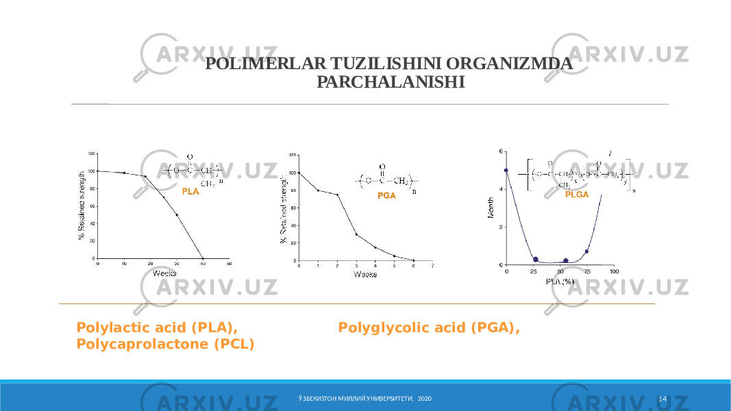 ЎЗБЕКИSТОН МИЛЛИЙ УНИВЕРSИТЕТИ, 2020 14Polylactic acid (PLA), Polyglycolic acid (PGA), Polycaprolactone (PCL) POLIMERLAR TUZILISHINI ORGANIZMDA PARCHALANISHI 