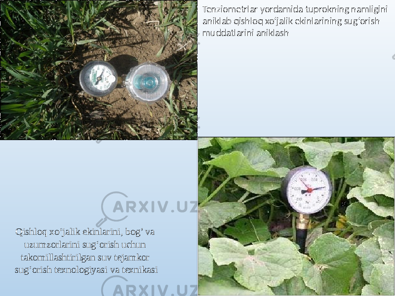 Tenziometrlar yordamida tuprokning namligini aniklab qishloq xo‘jalik ekinlarining sug‘orish muddatlarini aniklash Qishloq xo‘jalik ekinlarini, bog’ va uzumzorlarini sug‘orish uchun takomillashtirilgan suv tejamkor sug‘orish texnologiyasi va texnikasi 