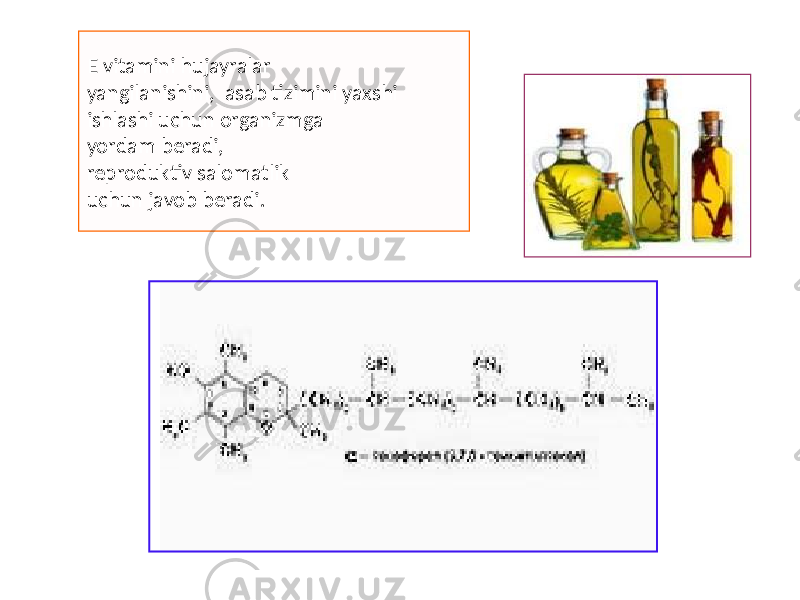 E vitamini hujayralar yangilanishini, asab tizimini yaxshi ishlashi uchun organizmga yordam beradi, reproduktiv salomatlik uchun javob beradi. 