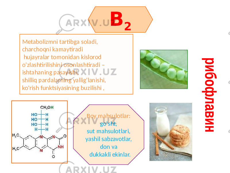 B 2 Metabolizmni tartibga soladi, charchoqni kamaytiradi hujayralar tomonidan kislorod o’zlashtirilishini osonlashtiradi – ishtahaning pasayishi, shilliq pardalarning yallig&#39;lanishi, ko&#39;rish funktsiyasining buzilishi , Boy mahsulotlar: go&#39;sht, sut mahsulotlari, yashil sabzavotlar, don va dukkakli ekinlar. 