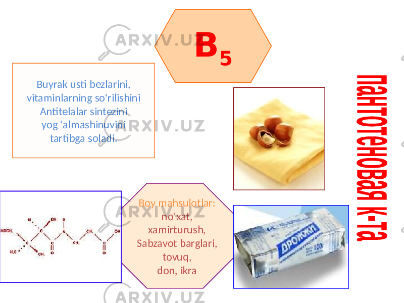 B 5 Buyrak usti bezlarini, vitaminlarning so&#39;rilishini Antitelalar sintezini yog &#39;almashinuvini tartibga soladi. Boy mahsulotlar: no&#39;xat, xamirturush, Sabzavot barglari, tovuq, don, ikra 