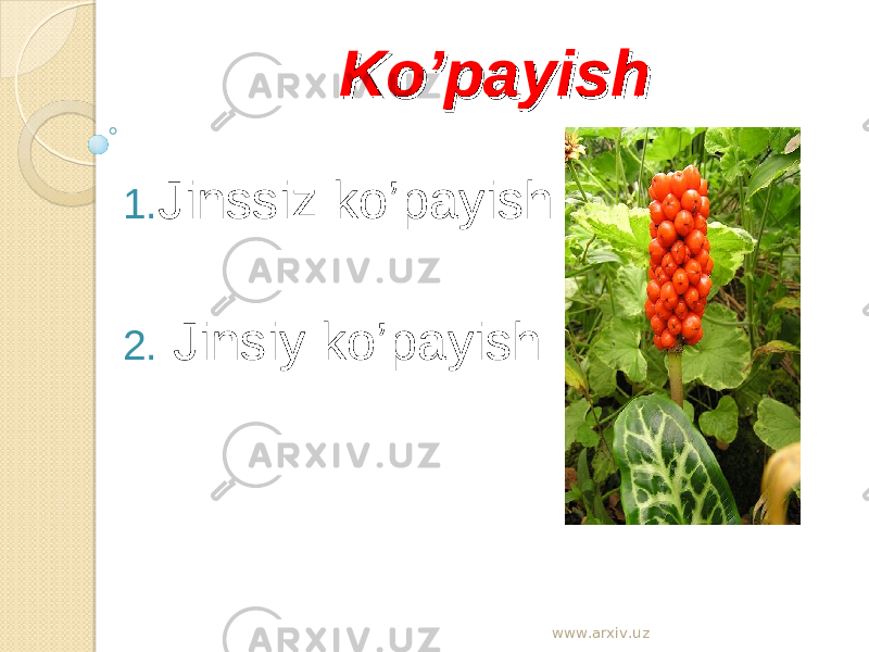 Ko’payishKo’payish 1. Jinssiz ko’payish 2. Jinsiy ko’payish www.arxiv.uz 