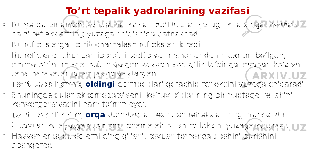 To’rt tepalik yadrolarining vazifasi • Bu yerda birlamchi ko’ruv markazlari bo’lib, ular yorug’lik ta’siriga javoban ba’zi reflekslarning yuzaga chiqishida qatnashadi. • Bu reflekslarga ko’rib chamalash reflekslari kiradi. • Bu reflekslar shundan iboratki, xatto yarimsharlaridan maxrum bo’lgan, ammo o’rta miyasi butun qolgan xayvon yorug’lik ta’siriga javoban ko’z va tana harakatari bilan javob qaytargan. • To’rt tepalikning oldingi do’mboqlari qorachiq refleksini yuzaga chiqaradi. • Shuningdek ular akkomodatsiyani, ko’ruv o’qlarining bir nuqtaga kelishini konvergensiyasini ham ta’minlaydi. • To’rt tepalikning orqa do’mboqlari eshitish reflekslarining markazidir. • U tovush kelayotgan tomonni chamalab bilish refleksini yuzaga keltiradi. • Hayvonlarda quloqlarni ding qilishi, tovush tomonga boshini burishini boshqarad 