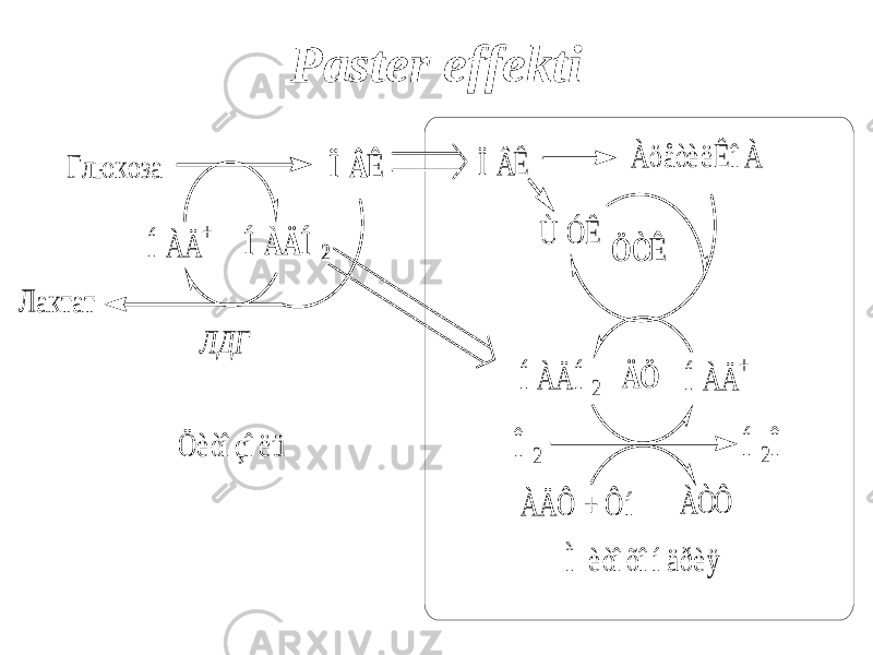 Paster effekti Г л ю к о за Ï Â Ê Ï Â Ê Ù Ó Ê À ö åòè ë Ê î À Ö Ò Ê Í À Ä Í 2 Í À Ä + Í 2Î Î 2 À Ä Ô + Ô í À Ò Ô Í À Ä Í 2 Í À Ä + Л ак тат Л Д Г Ä Ö Ö è òî çî ë ü Ì è òî õ î í ä ð è ÿ 