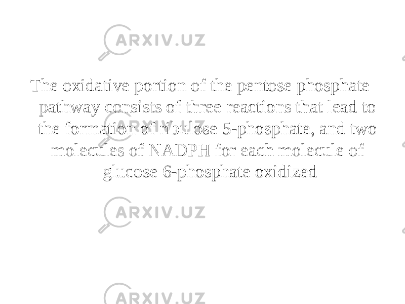 The oxidative portion of the pentose phosphate pathway consists of three reactions that lead to the formation of ribulose 5-phosphate, and two molecules of NADPH for each molecule of glucose 6-phosphate oxidized 