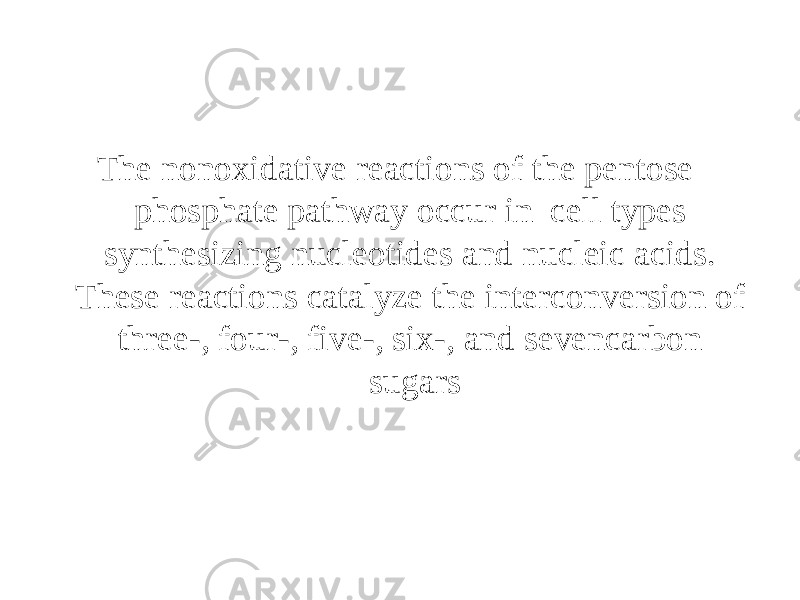 The nonoxidative reactions of the pentose phosphate pathway occur in cell types synthesizing nucleotides and nucleic acids. These reactions catalyze the interconversion of three-, four-, five-, six-, and sevencarbon sugars 