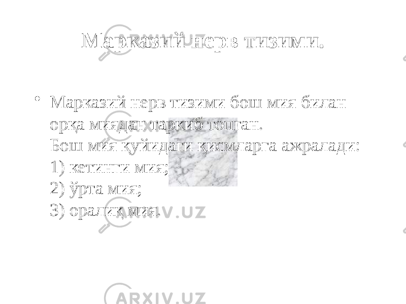 Марказий нерв тизими. • Марказий нерв тизими бош мия билан орқа миядан таркиб топган. Бош мия қуйидаги қисмларга ажралади: 1) кетинги мия; 2) ўрта мия; 3) оралиқ мия. 