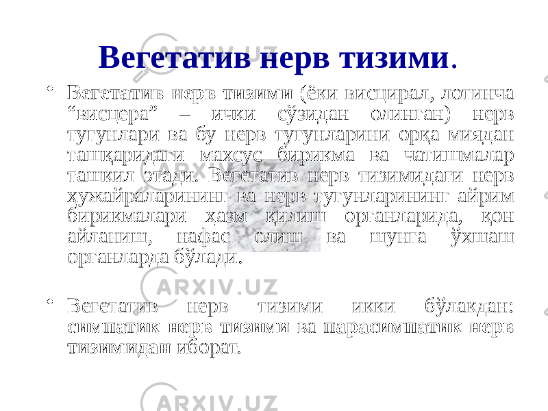 Вегетатив нерв тизими . • Вегетатив нерв тизими (ёки висцирал, лотинча “висцера” – ички сўзидан олинган) нерв тугунлари ва бу нерв тугунларини орқа миядан ташқаридаги махсус бирикма ва чатишмалар ташкил этади. Вегетатив нерв тизимидаги нерв ҳужайраларининг ва нерв тугунларининг айрим бирикмалари ҳазм қилиш органларида, қон айланиш, нафас олиш ва шунга ўхшаш органларда бўлади. • Вегетатив нерв тизими икки бўлакдан: симпатик нерв тизими ва парасимпатик нерв тизимидан иборат. 