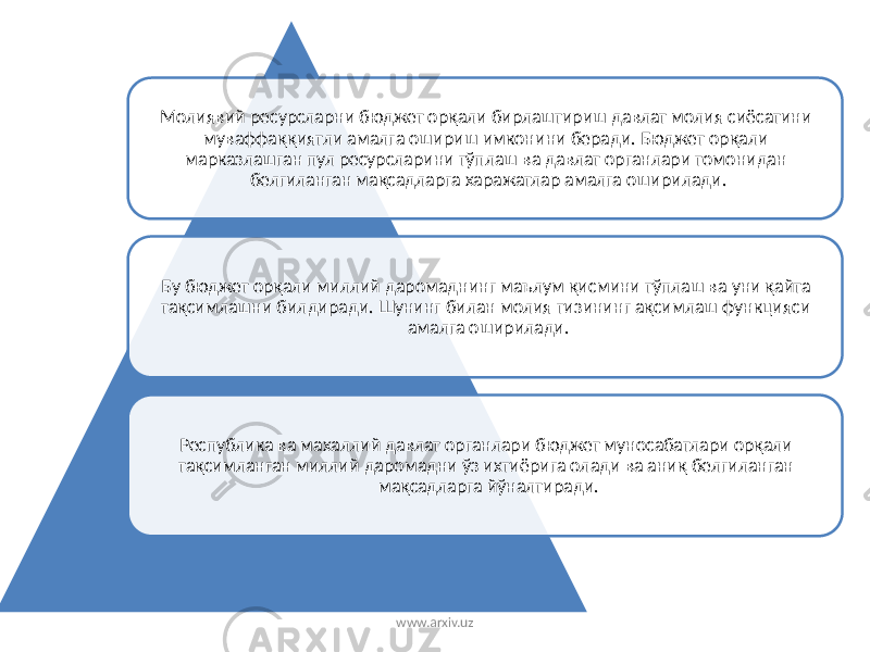Молиявий ресурсларни бюджет орқали бирлаштириш давлат молия сиёсатини муваффаққиятли амалга ошириш имконини беради. Бюджет орқали марказлашган пул ресурсларини тўплаш ва давлат органлари томонидан белгиланган мақсадларга харажатлар амалга оширилади. Бу бюджет орқали миллий даромаднинг маълум қисмини тўплаш ва уни қайта тақсимлашни билдиради. Шунинг билан молия тизининг ақсимлаш функцияси амалга оширилади. Республика ва махаллий давлат органлари бюджет муносабатлари орқали тақсимланган миллий даромадни ўз ихтиёрига олади ва аниқ белгиланган мақсадларга йўналтиради. www.arxiv.uz 
