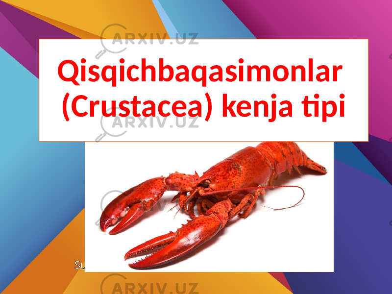 Qisqichbaqasimonlar (Crustacea) kenja tipi Subtitle here 