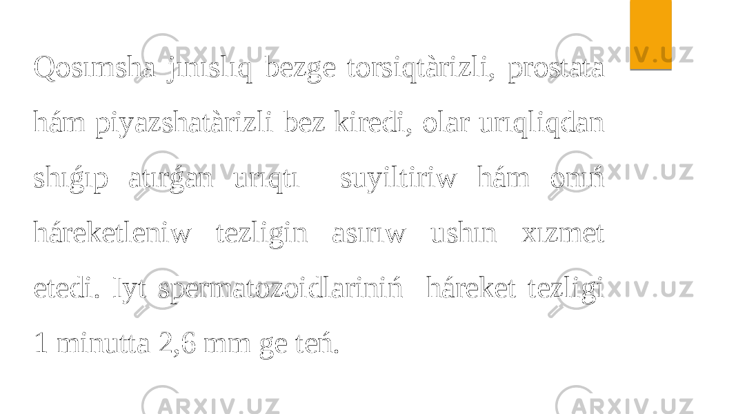 Qosımsha jınıslıq bezge torsiqtàrizli, prostata hám piyazshatàrizli bez kiredi, olar urıqliqdan shıǵıp atırǵan urıqtı suyiltiriw hám onıń háreketleniw tezligin asırıw ushın xızmet etedi. Iyt spermatozoidlariniń háreket tezligi 1 minutta 2,6 mm ge teń. 