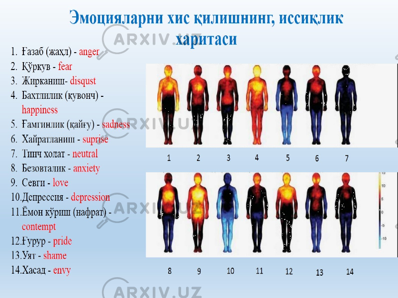 Эмоцияларни хис қилишнинг, иссиқлик харитаси 