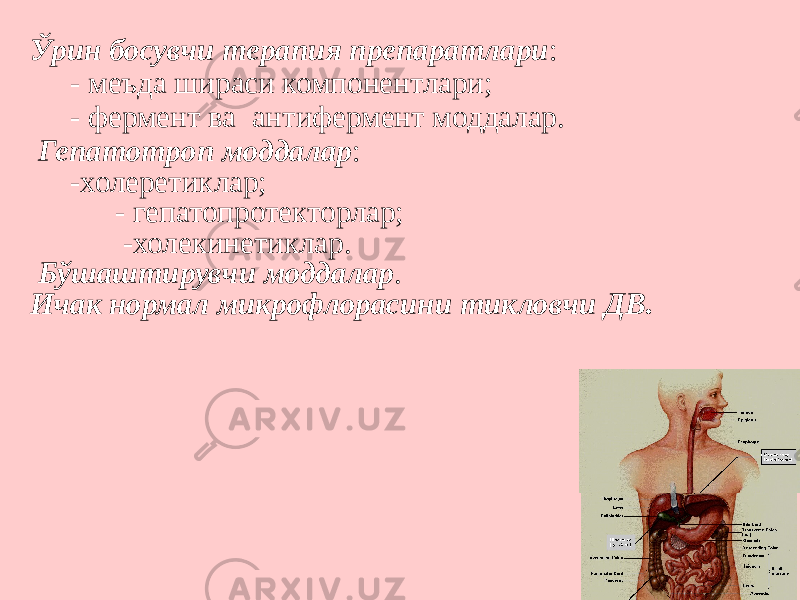 Ўрин босувчи терапия препаратлари : - меъда шираси компонентлари; - фермент ва антифермент моддалар. Гепатотроп моддалар : -холеретиклар; - гепатопротекторлар; -холекинетиклар. Бўшаштирувчи моддалар . Ичак нормал микрофлорасини тикловчи ДВ. 