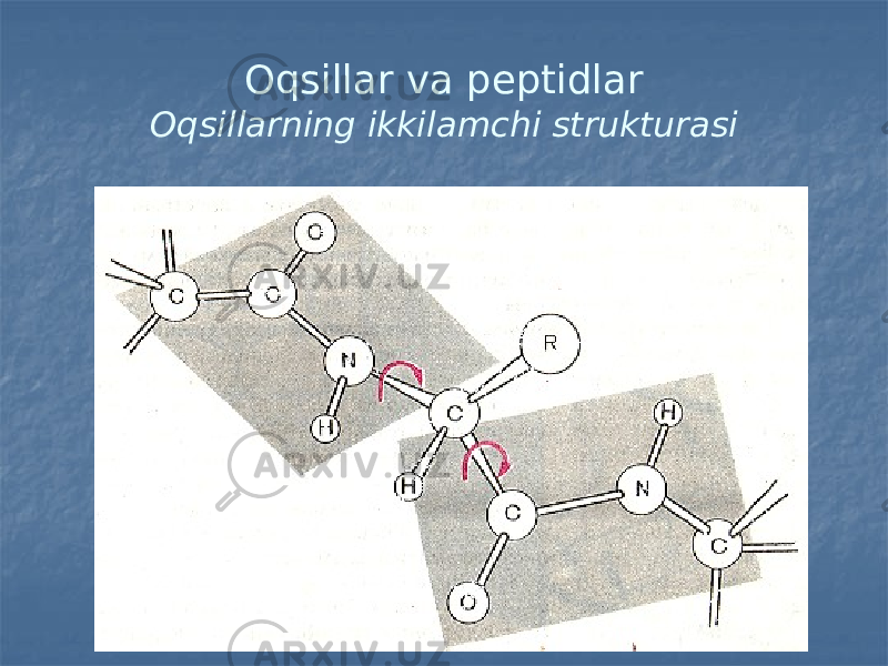 Oqsillar va peptidlar Oqsillarning ikkilamchi strukturasi 