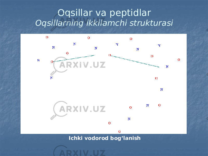Oqsillar va peptidlar Oqsillarning ikkilamchi strukturasi Ichki vodorod bog’lanish 